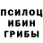 Псилоцибиновые грибы Psilocybe memotijuas
