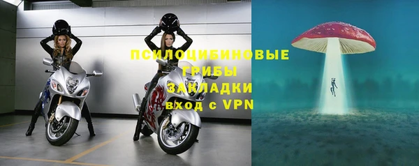 гидра Алзамай