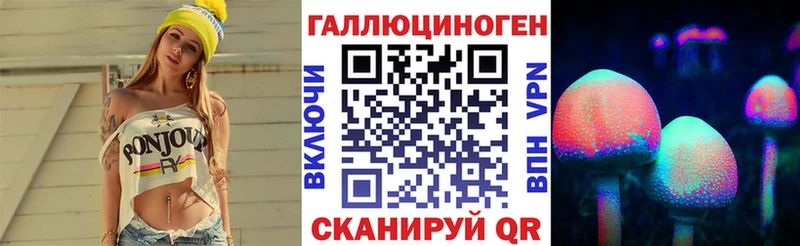 Псилоцибиновые грибы MAGIC MUSHROOMS  MEGA маркетплейс  Болхов  как найти наркотики 
